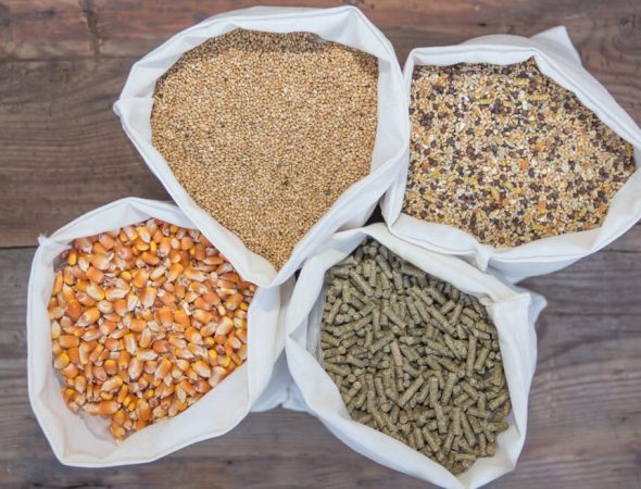 overhead-view-of-bags-with-grains-and-pellets-for-2023-11-27-04-58-00-utc-2